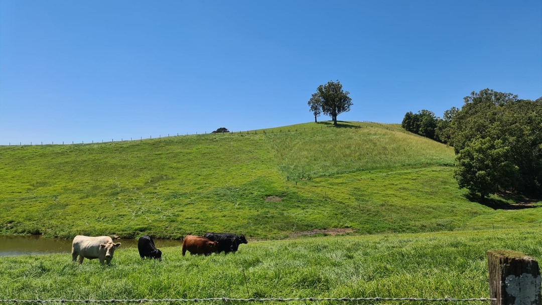 Deervale Farms