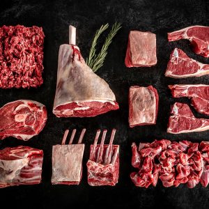 Carnivore Pack