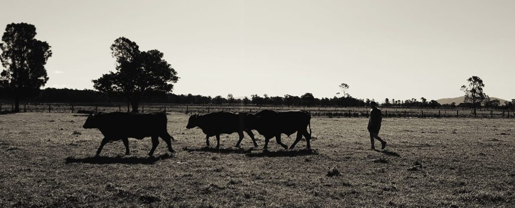 Oakwood Farms Taster Pack gallery image 3