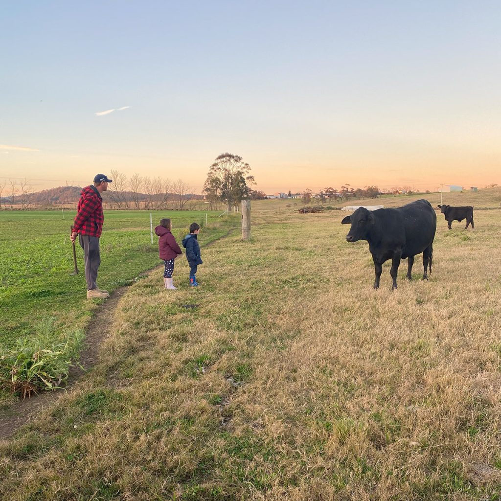 FarmPicSquare11.jpg