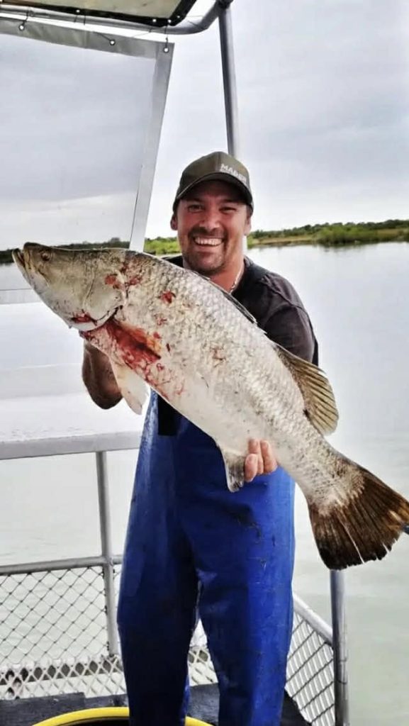 Wild Caught Barramundi ( Skin Off ) gallery image 4