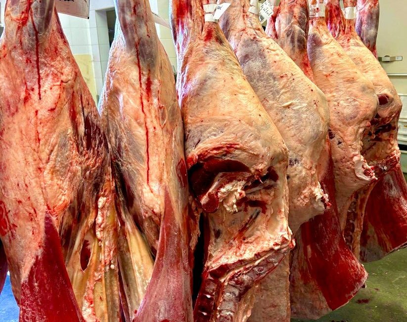 Renewed harvest 1/8th Pack Beef