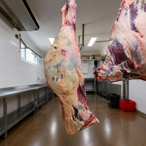 Hyland Farms Hindquarter Beef